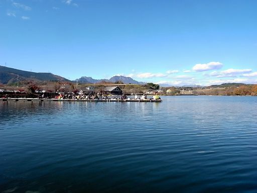 e0007544_885976.jpg