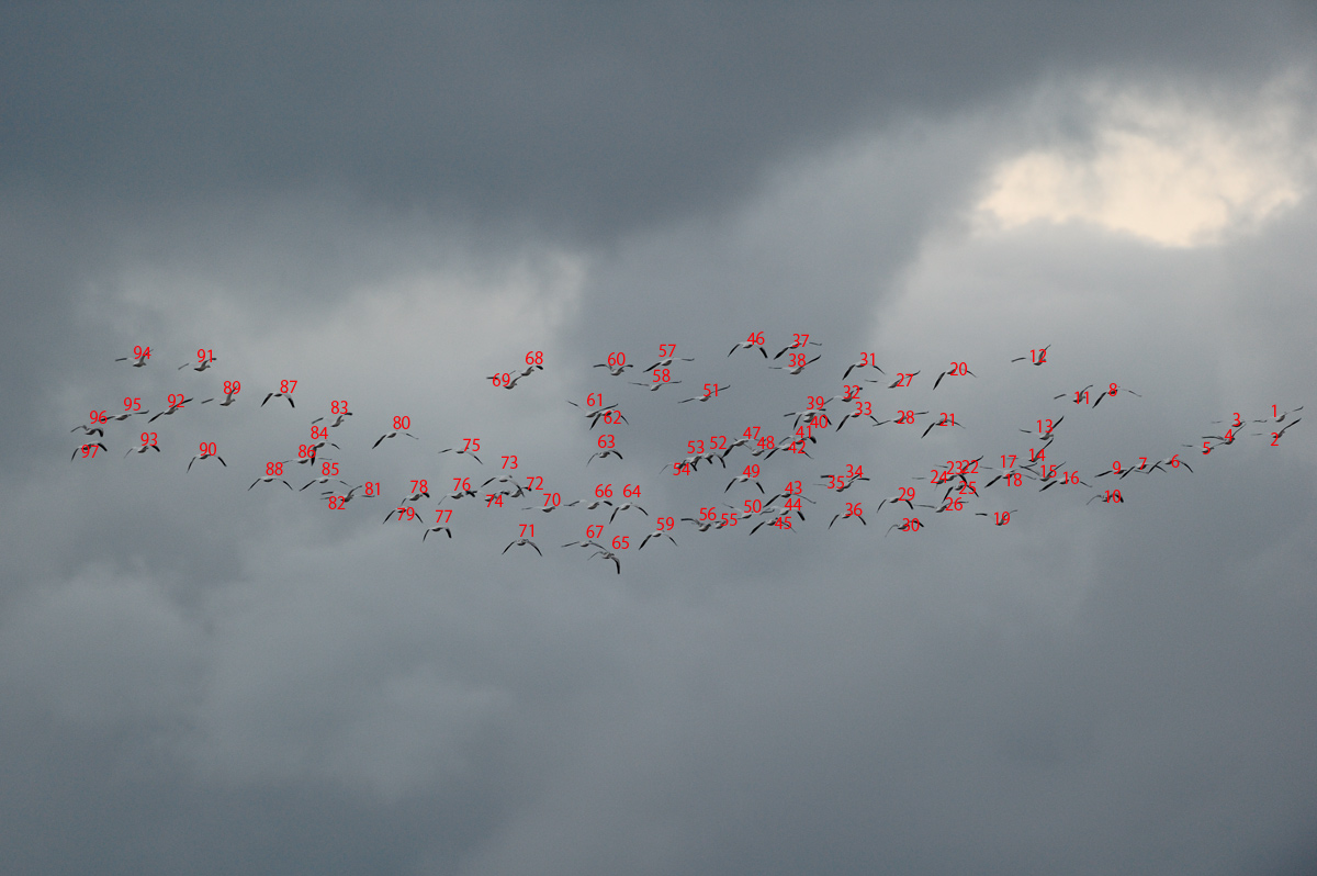 a0039245_034989.jpg