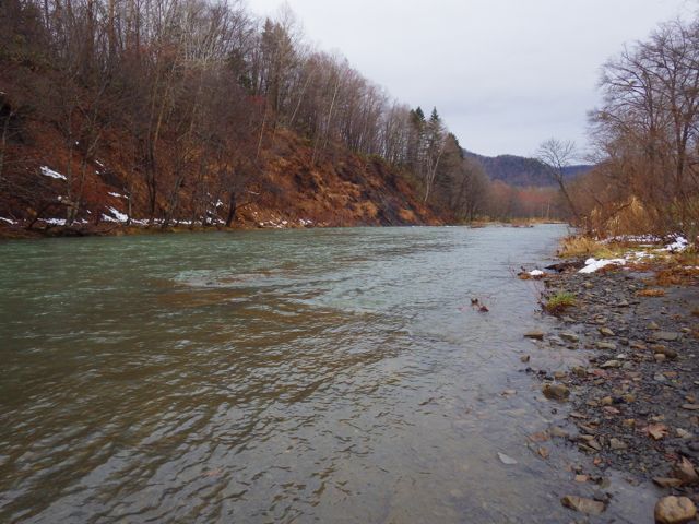 e0290546_16303130.jpg