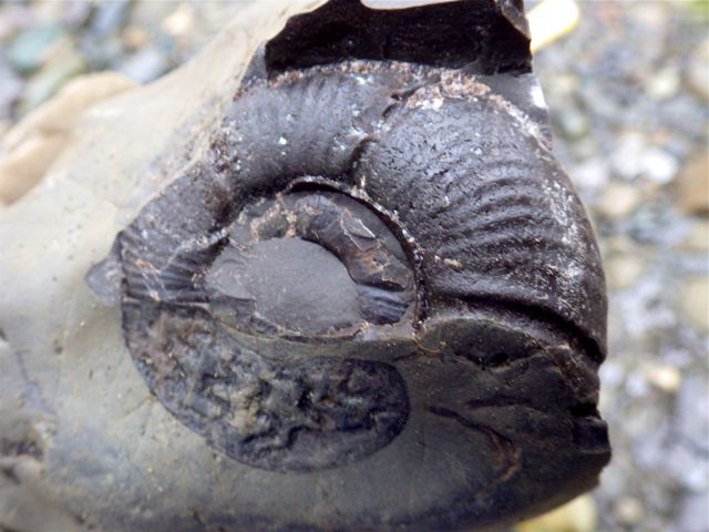 e0290546_16304352.jpg