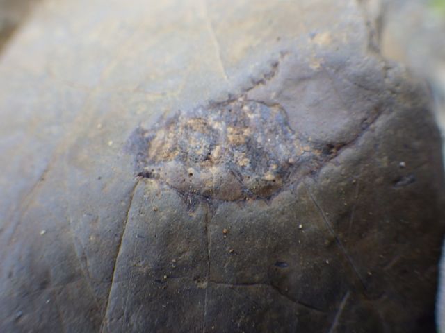 e0290546_16304375.jpg