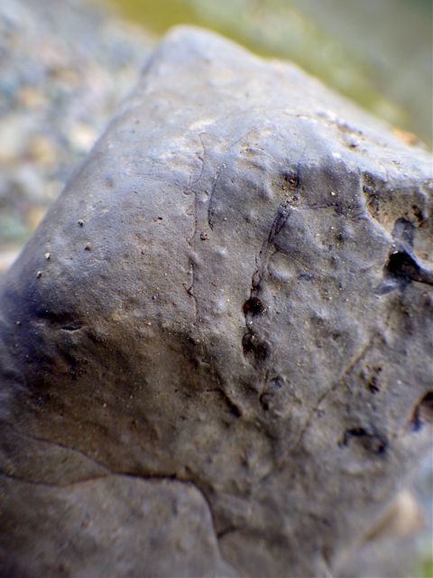 e0290546_16304391.jpg
