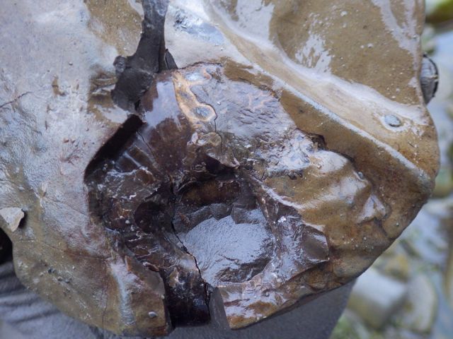 e0290546_16305503.jpg