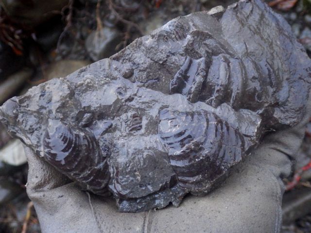 e0290546_16305662.jpg