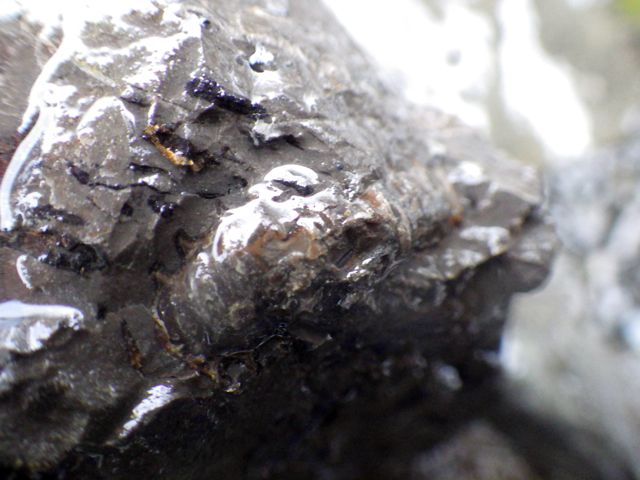 e0290546_16305678.jpg