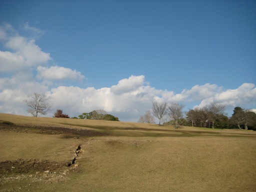 a0237349_16244958.jpg