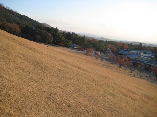 a0237349_17181856.jpg