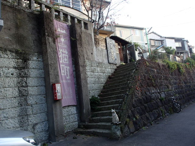 d0063149_12145092.jpg