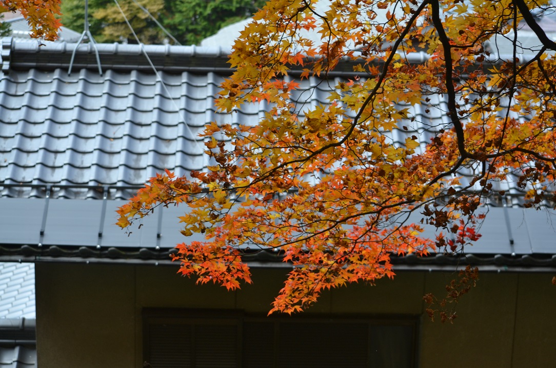 a0055650_1562347.jpg