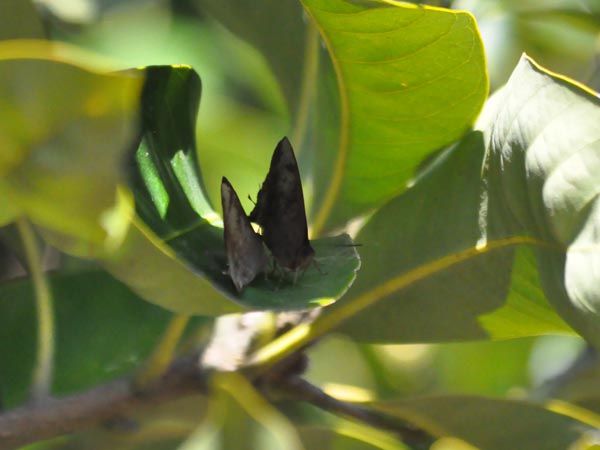 c0045352_209444.jpg