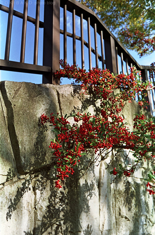 d0100156_2228610.jpg