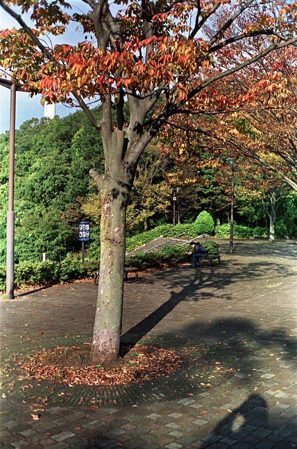 d0100156_2240728.jpg