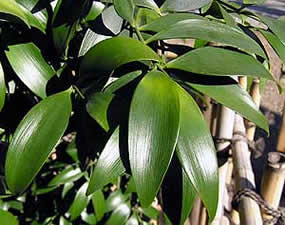 a0132059_19484769.jpg