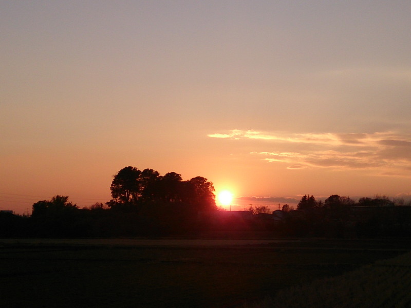 a0073065_1773927.jpg