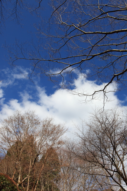 f0049565_2247221.jpg