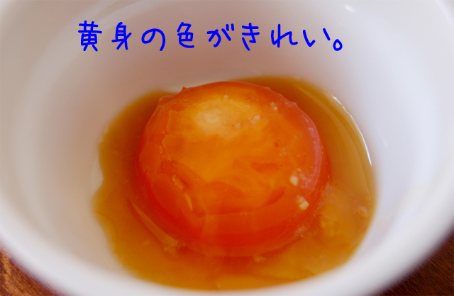 d0050871_16161466.jpg