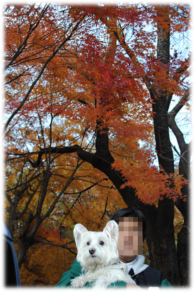 b0242873_0452148.png