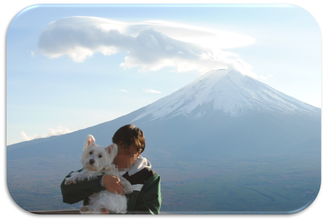 b0242873_081594.png