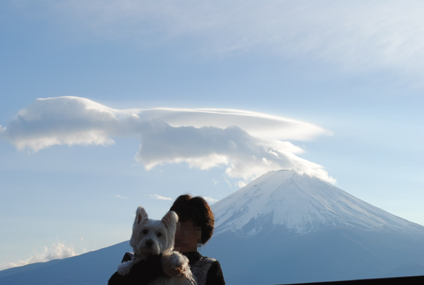 b0242873_082876.png