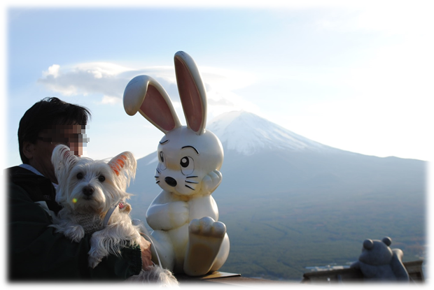 b0242873_084349.png