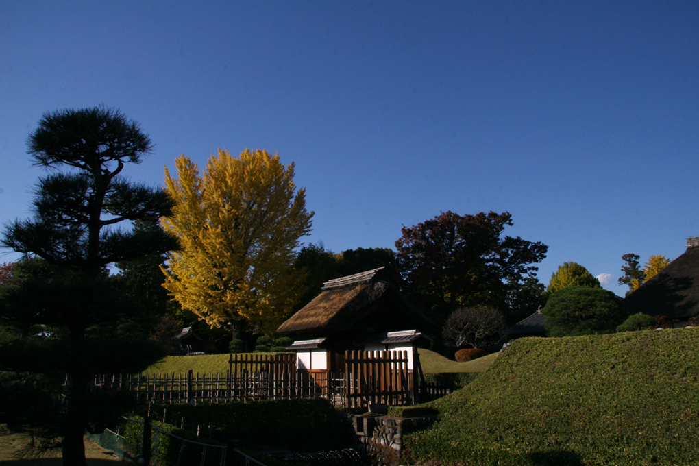 e0118274_18562586.jpg