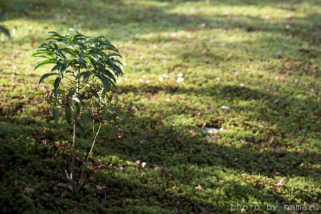 b0280176_20434587.jpg
