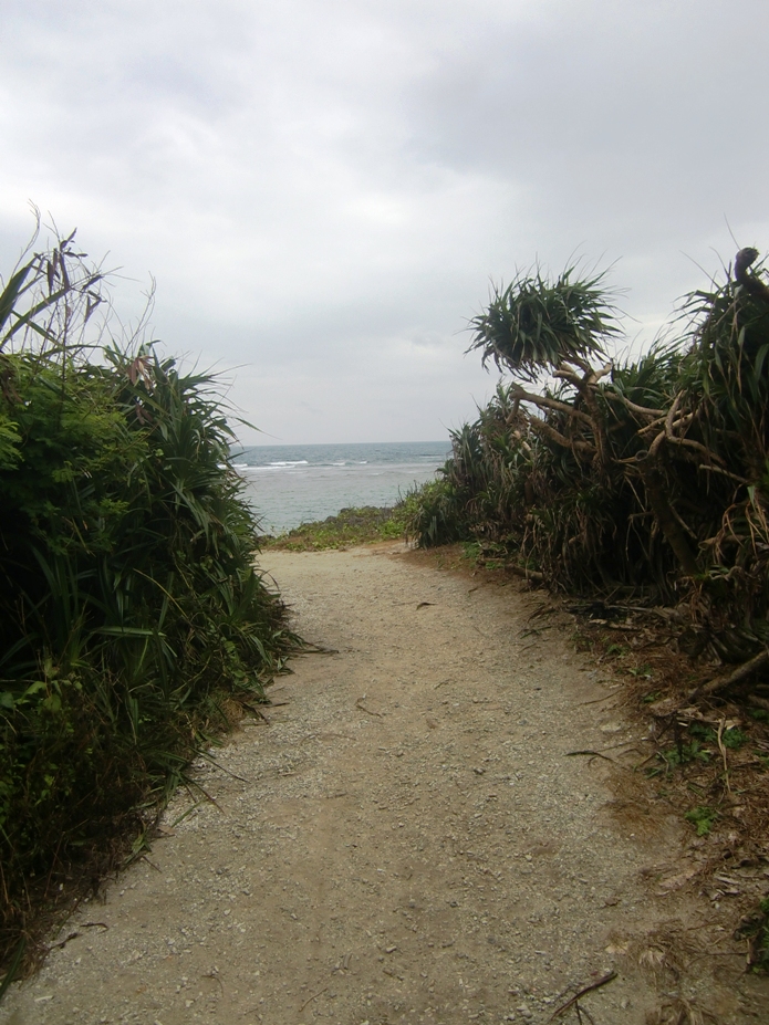 f0238779_07440226.jpg