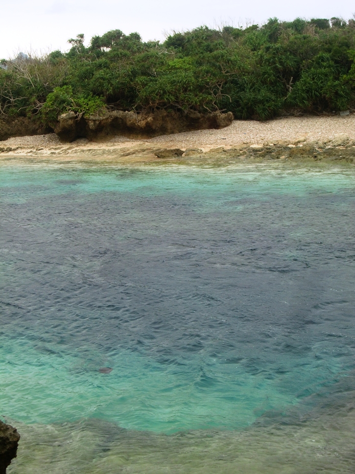 f0238779_07460345.jpg