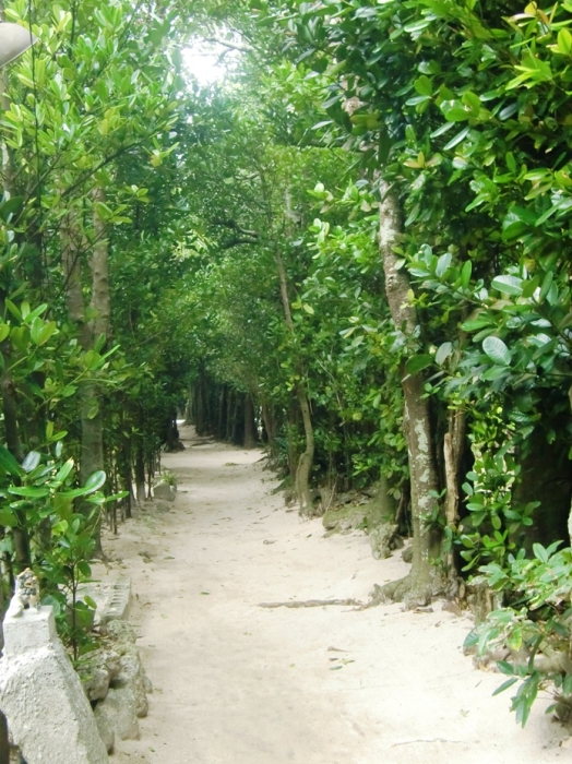 f0238779_07511131.jpg