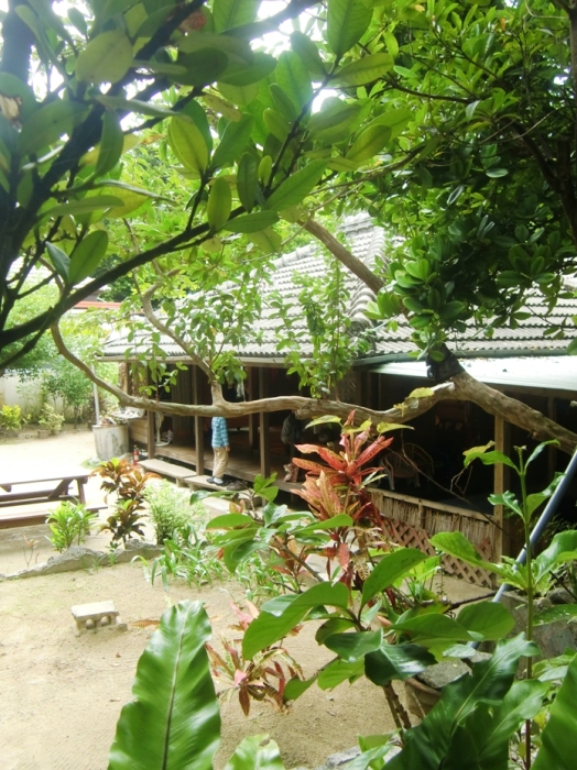 f0238779_07513142.jpg