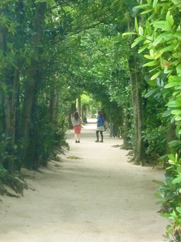 f0238779_07520913.jpg