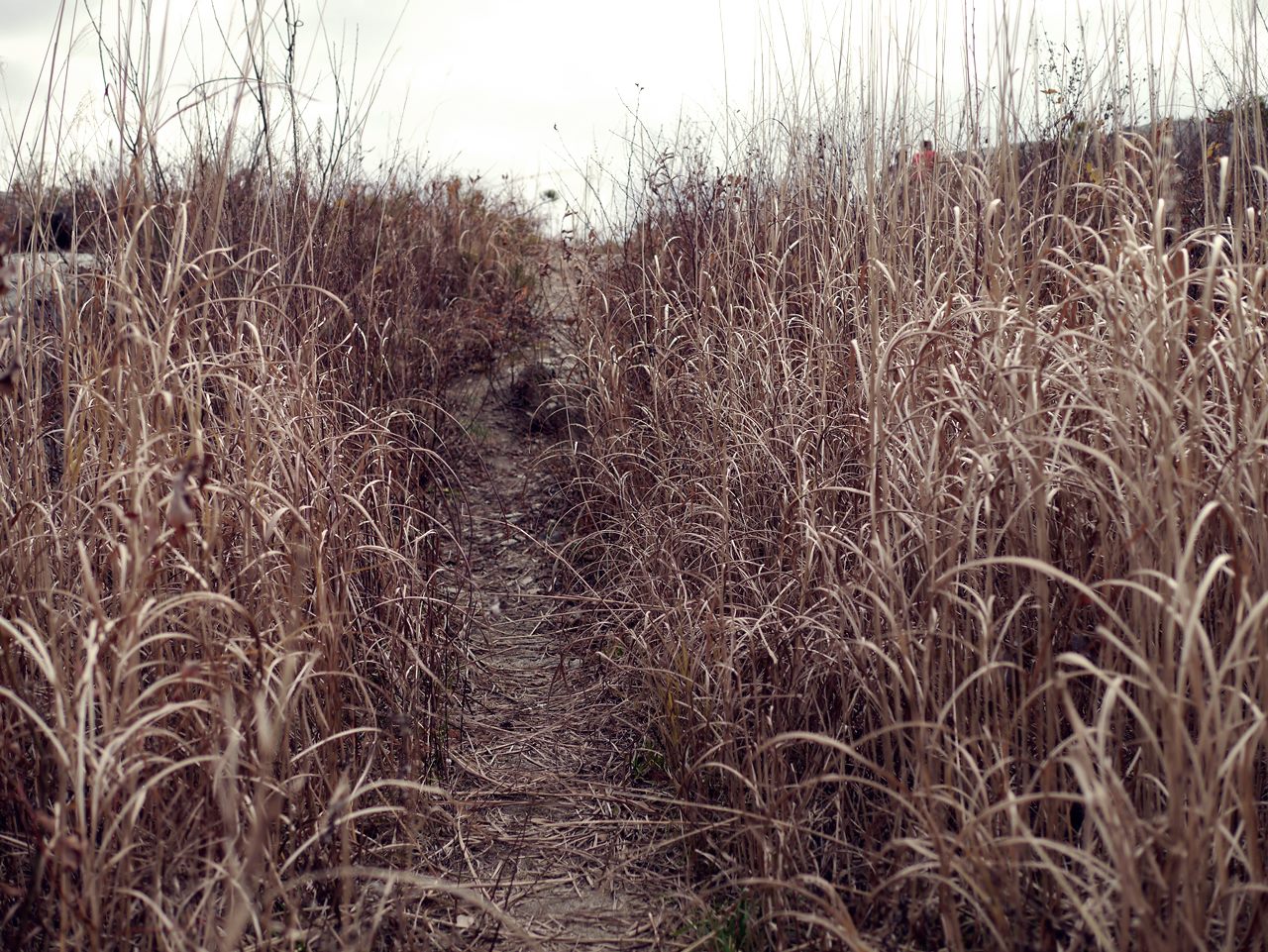 e0167780_23281211.jpg