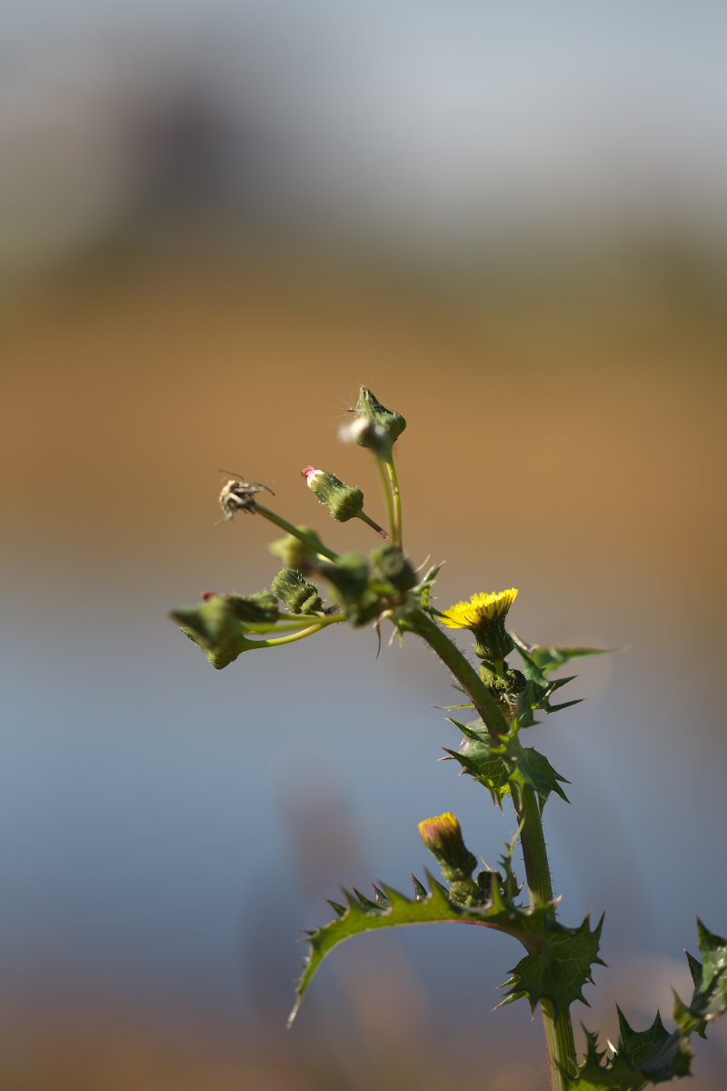 a0083081_19324395.jpg