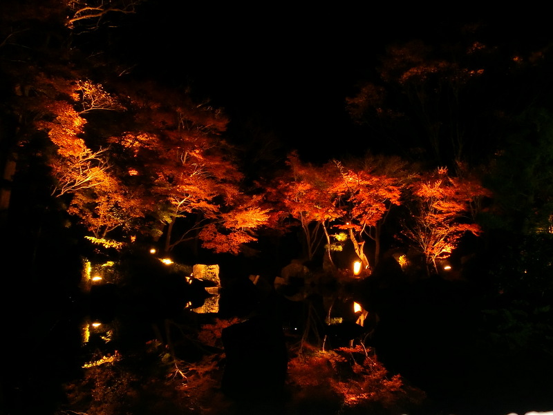 e0123587_10305144.jpg