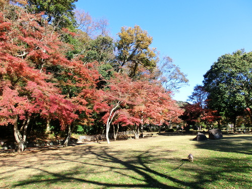 e0123587_103069.jpg