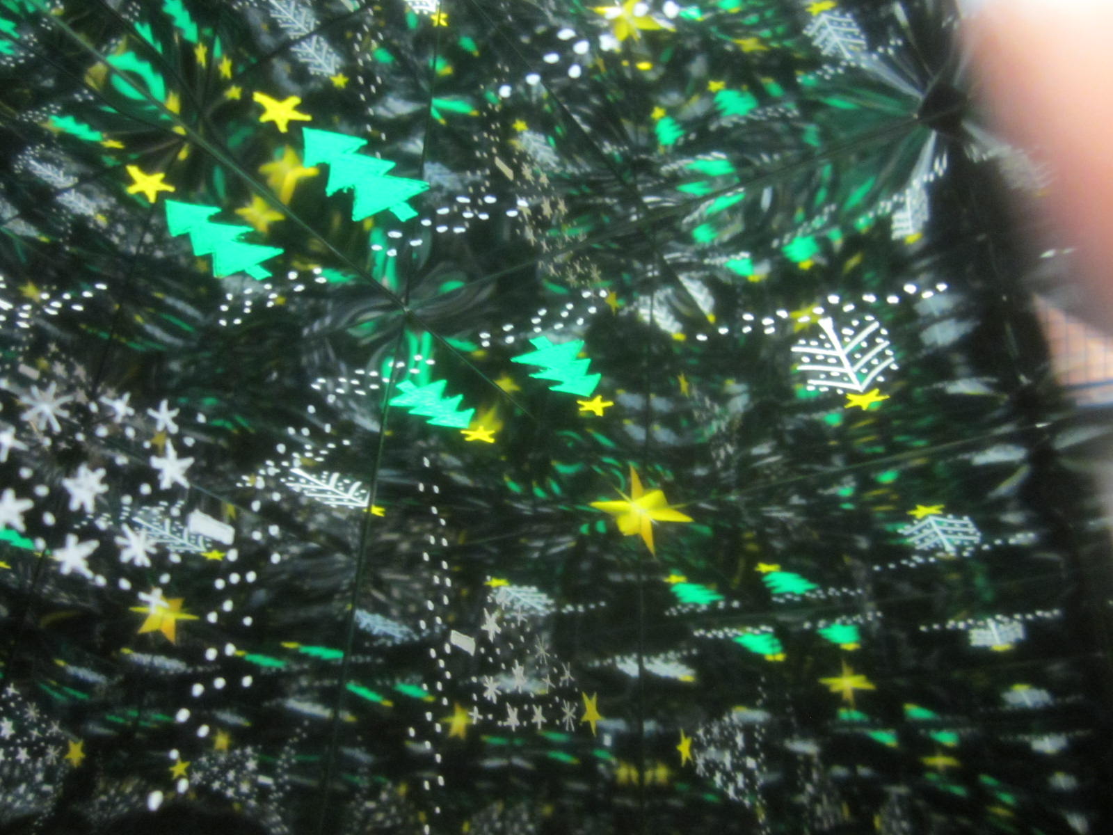 d0132988_84548.jpg