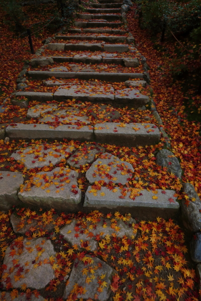 e0051888_155271.jpg