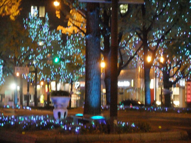 d0194191_1633095.jpg
