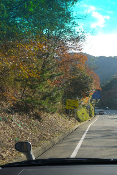 f0222692_20391930.jpg
