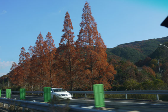 f0222692_2041095.jpg