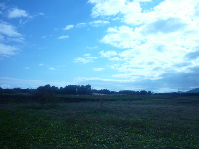 e0326699_14391675.jpg