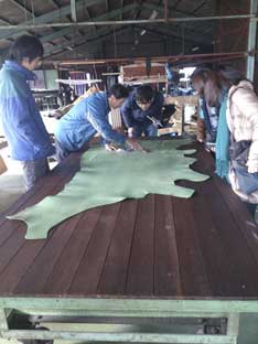 c0008801_1762250.jpg
