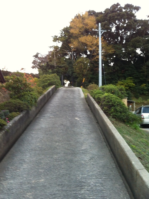 b0238507_20214397.jpg