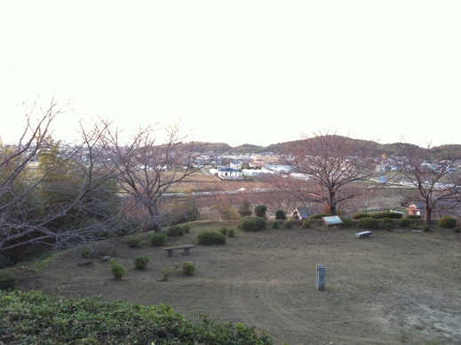b0238507_2022321.jpg