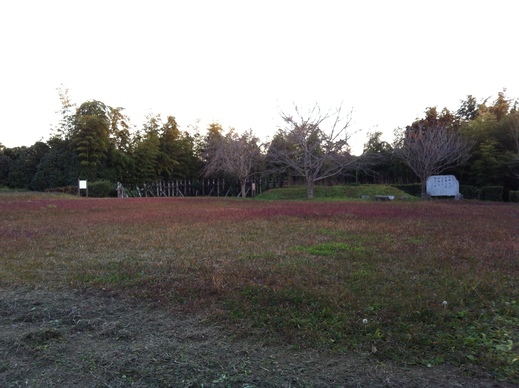 b0238507_20223644.jpg