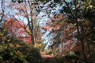 c0041207_9231682.jpg