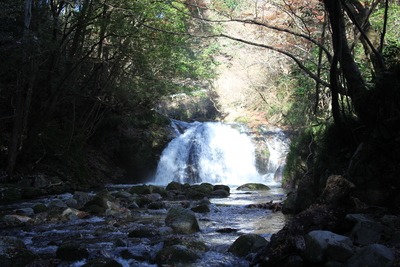c0041207_9235893.jpg