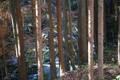 c0041207_9292977.jpg