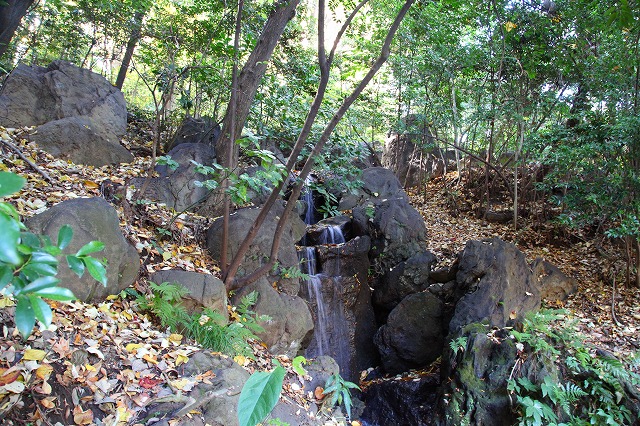 e0121110_21575436.jpg