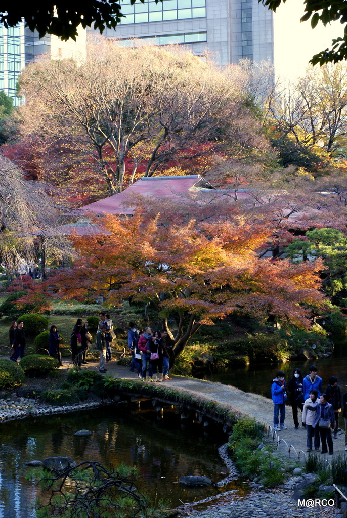 a0240721_22515358.jpg